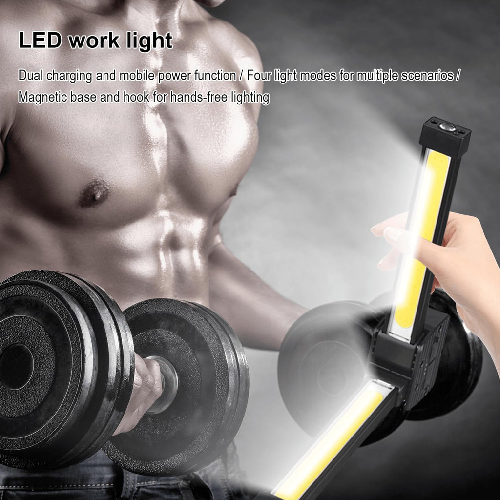 RepX LumaLift Gym Lamp